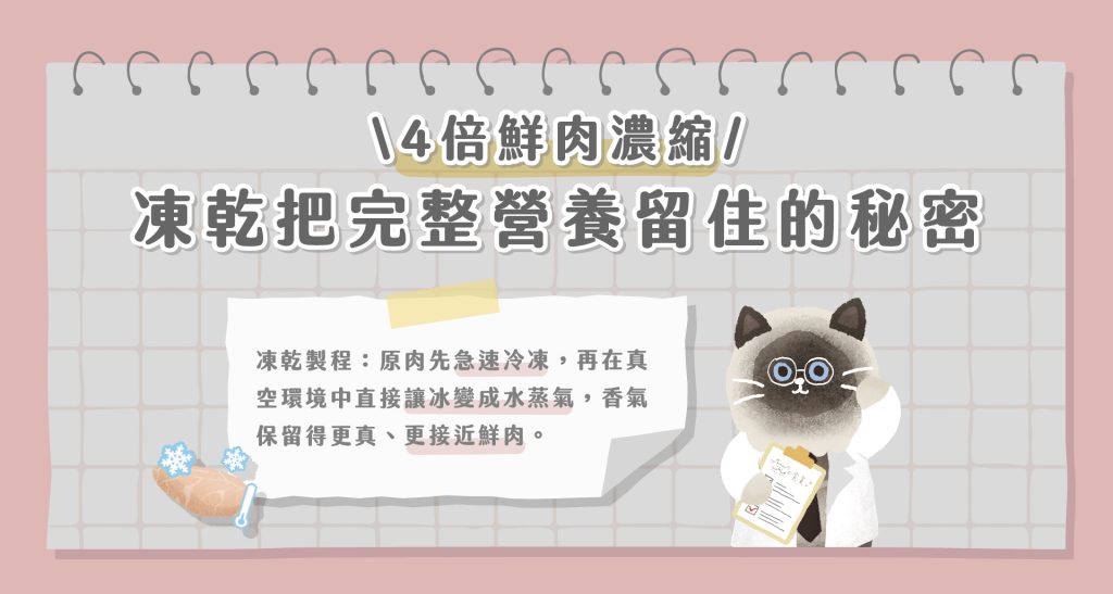 貓咪凍乾主食