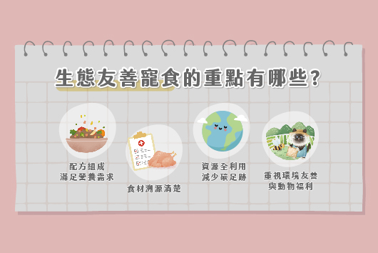永續貓食
