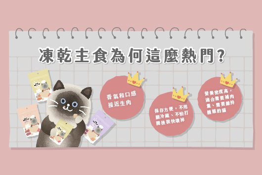 貓咪凍乾主食