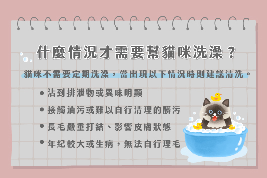 貓咪洗澡