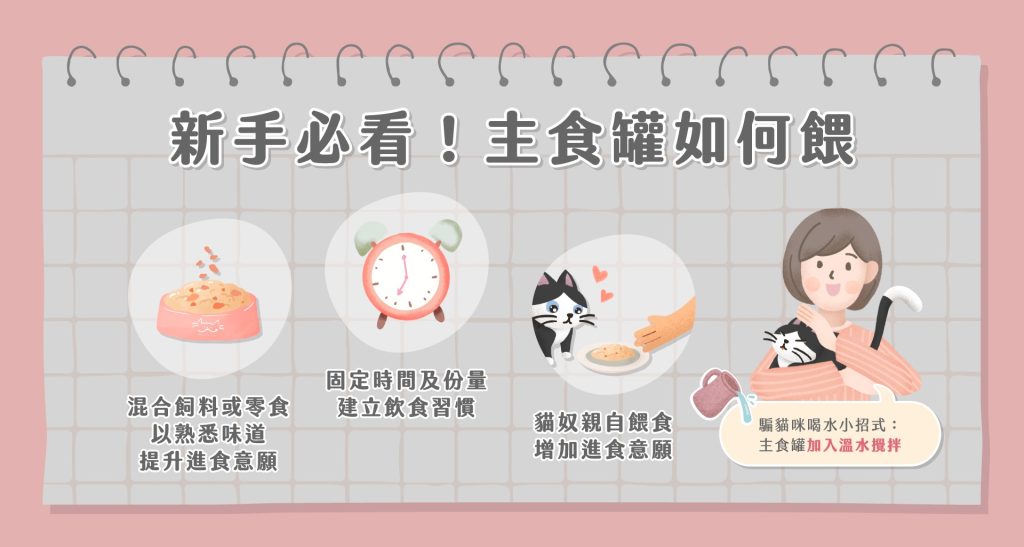 貓主食罐怎麼餵