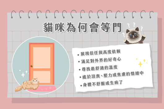 貓咪會等門的原因