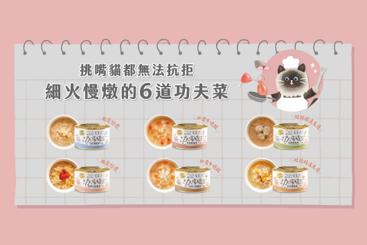 貪貪功夫湯罐研發日誌