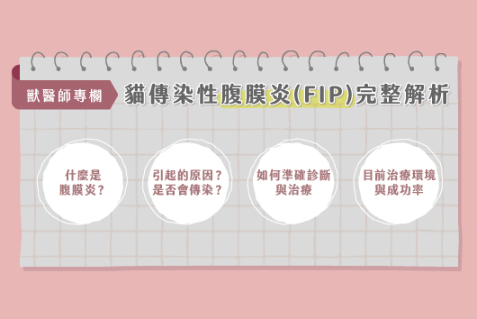 貓傳染性腹膜炎(FIP)