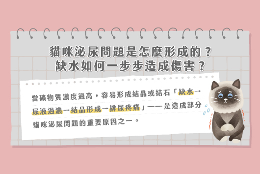 副食罐可以天天吃嗎?