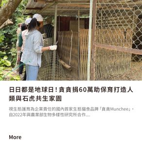 石虎保育