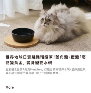 菱角殼