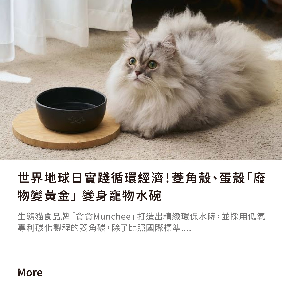 菱角殼