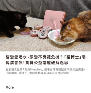 貓咪腎病