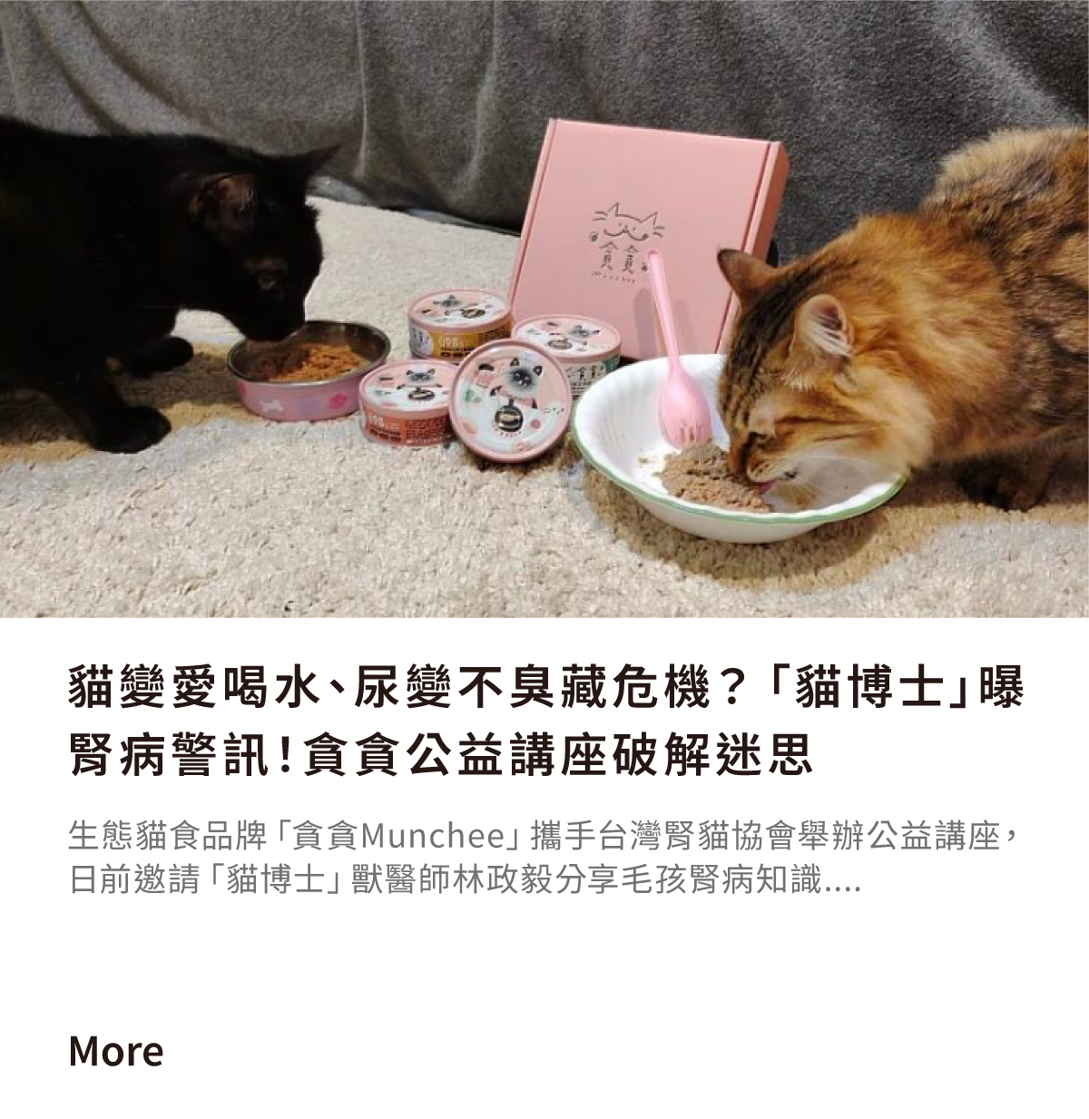 貓咪腎病