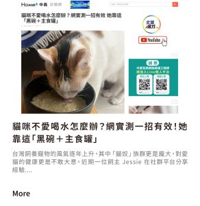 貓咪不愛喝水