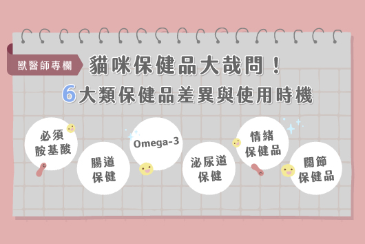 獸醫專欄-貓咪保健品大哉問