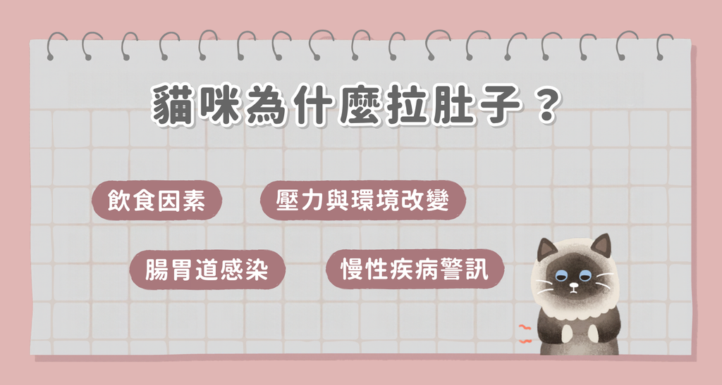 貓咪為什麼拉肚子