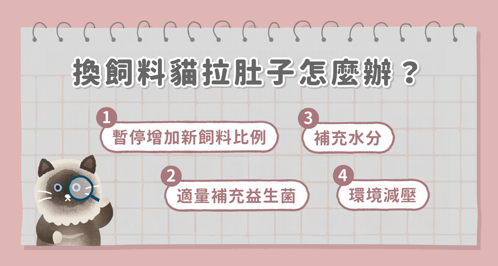 換飼料貓拉肚子怎麼辦