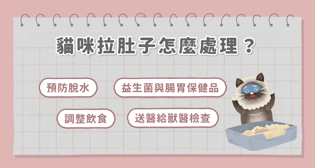 貓咪拉肚子怎麼辦